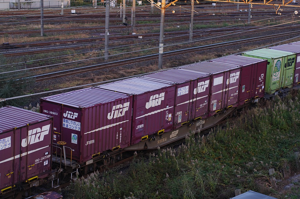 f0203926_20553771.jpg