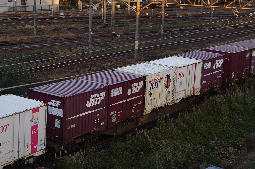f0203926_2057559.jpg