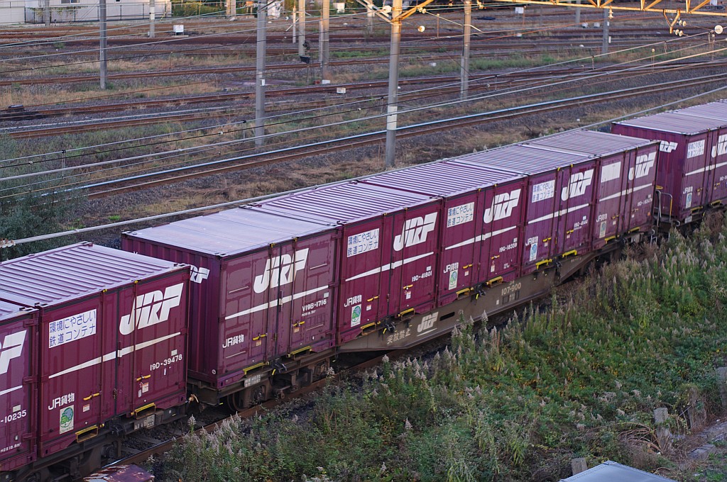 f0203926_2059815.jpg