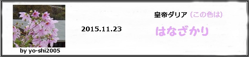 e0033229_17443346.jpg