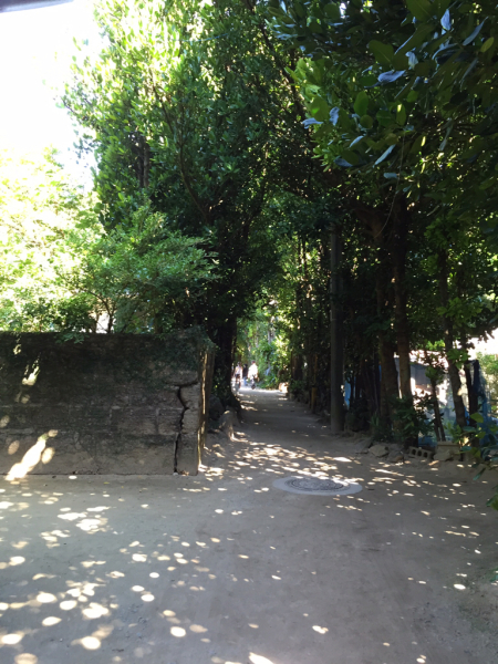 d0193232_16012173.jpg