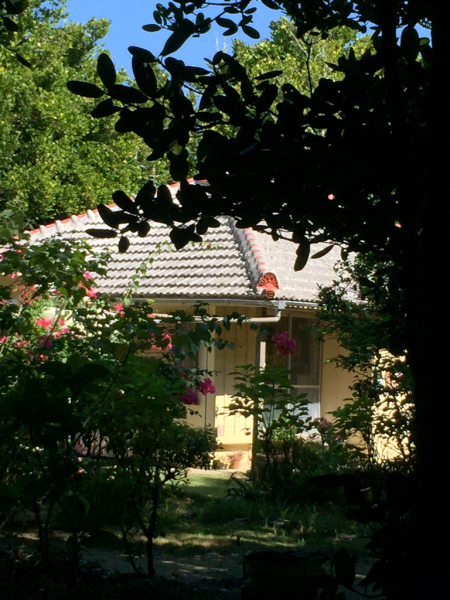 d0193232_16012237.jpg