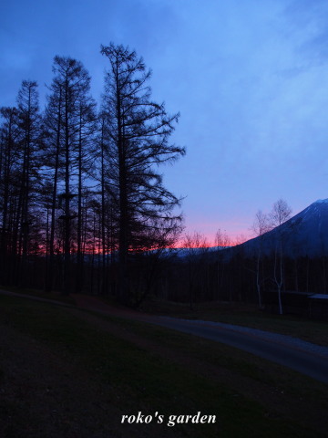 b0343934_22201210.jpg
