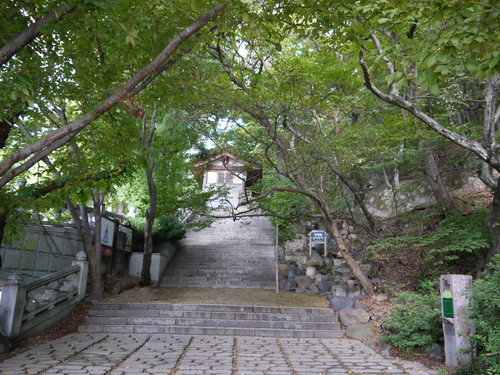e0133535_15351948.jpg