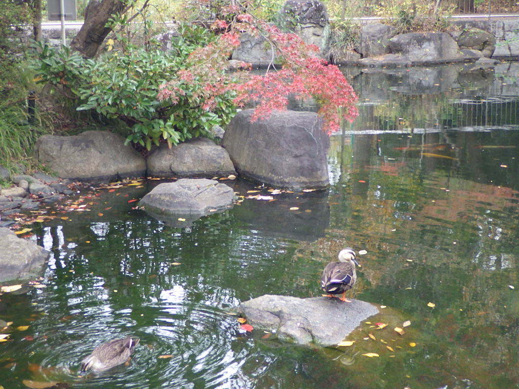 c0108336_17200019.jpg