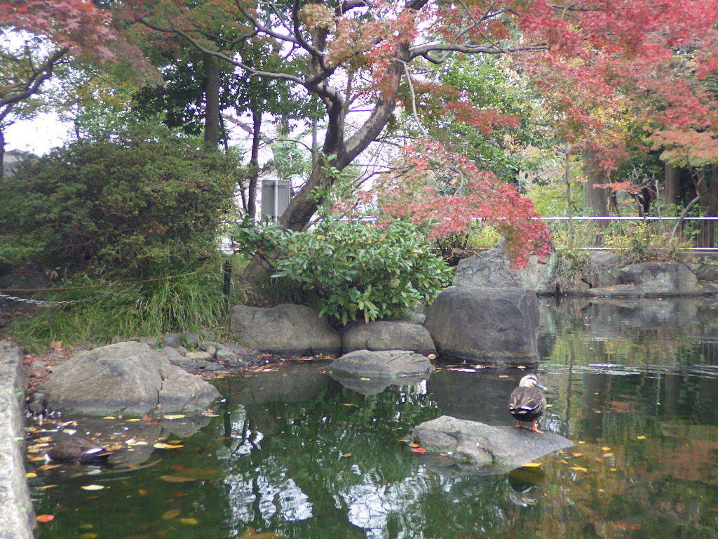 c0108336_17200259.jpg