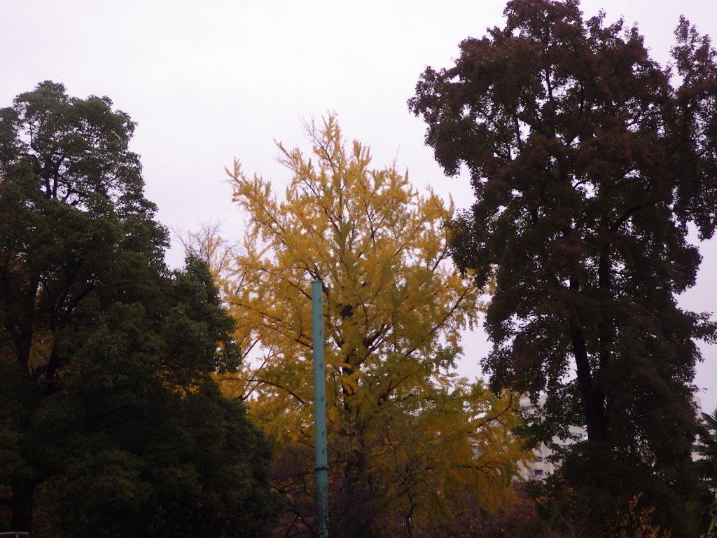 c0108336_17200967.jpg
