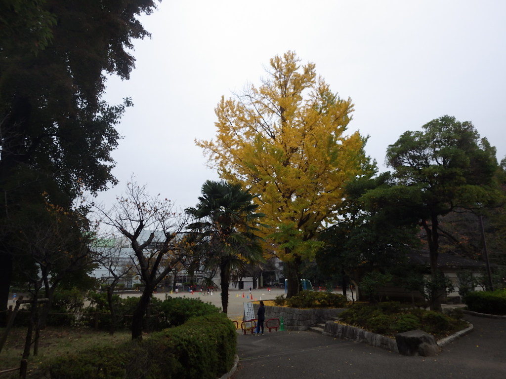 c0108336_17201214.jpg