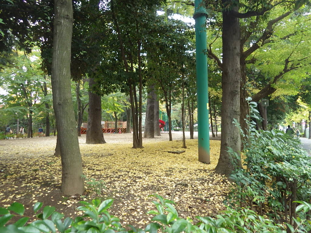 c0108336_17201321.jpg