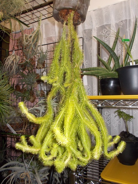 f0113136_20132446.jpg