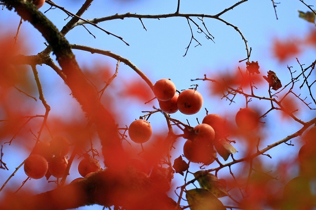 a0242438_1919461.jpg