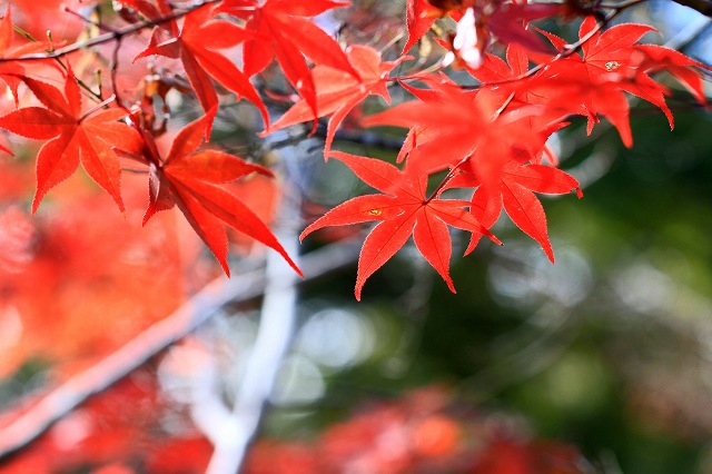 a0242438_19205239.jpg