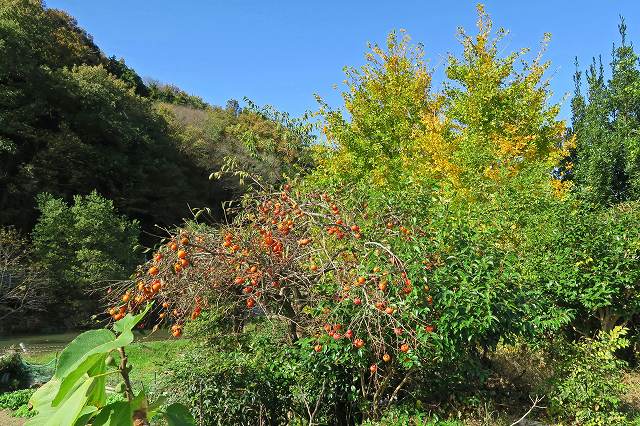 a0242438_19221066.jpg