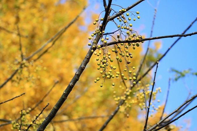 a0242438_19232812.jpg