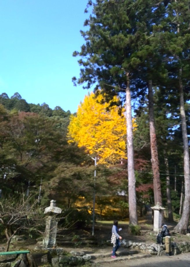 f0210439_8113251.jpg
