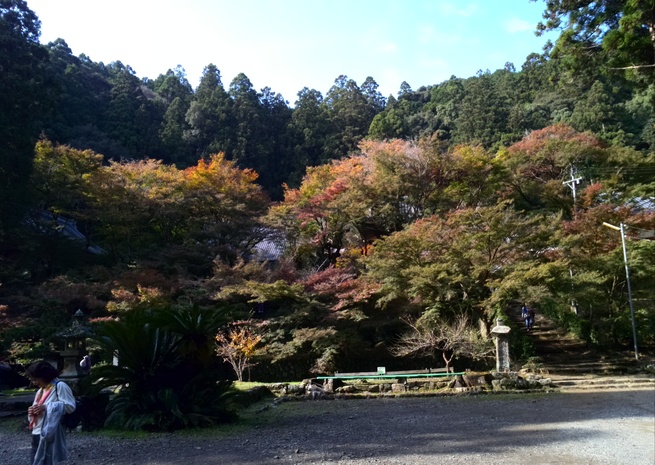 f0210439_893556.jpg