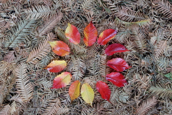 e0234741_21570837.jpg