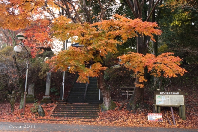 e0227942_22045319.jpg