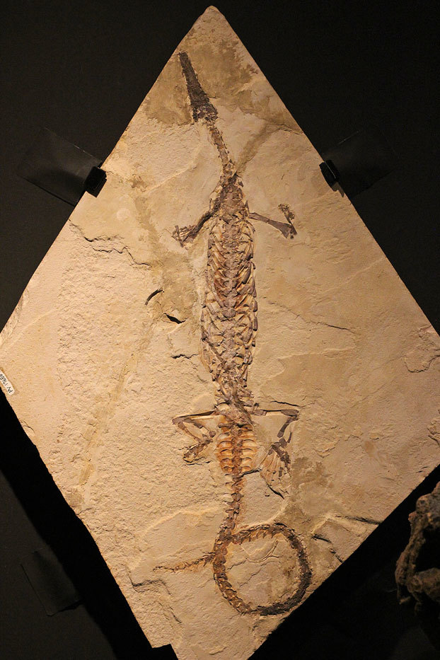 e0294253_15355029.jpg