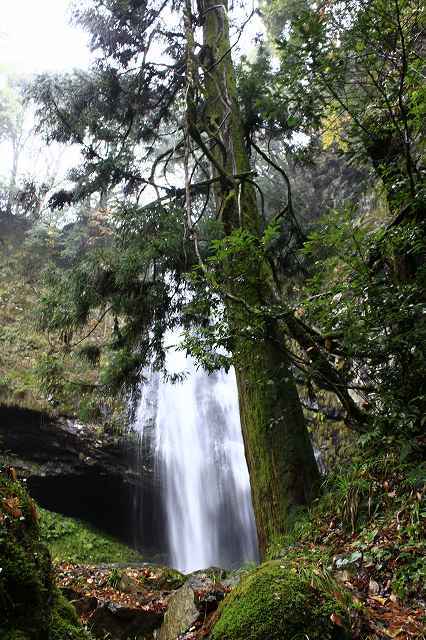 f0340155_18404960.jpg