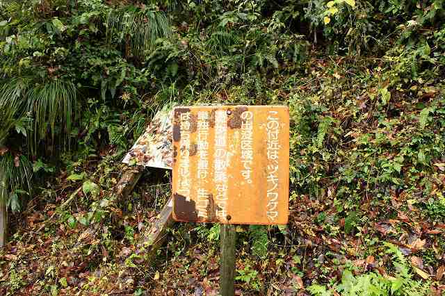 f0340155_18414091.jpg