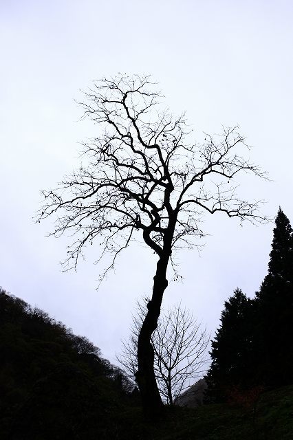 f0340155_18415802.jpg