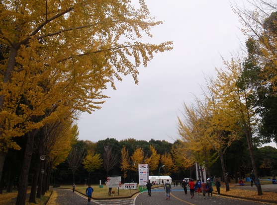 a0242657_21112159.jpg