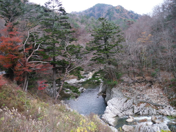 c0325468_18055631.jpg
