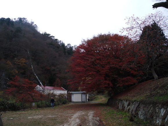 c0325468_18063857.jpg