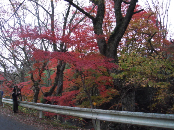 c0325468_18130332.jpg