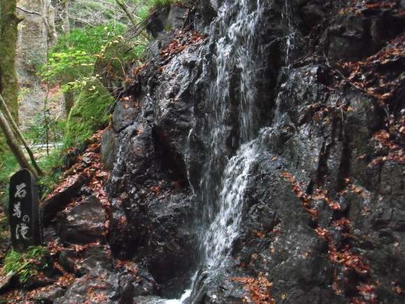 c0325468_18144869.jpg