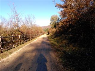 c0367772_07123954.jpg