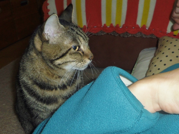 e0031572_1724610.jpg