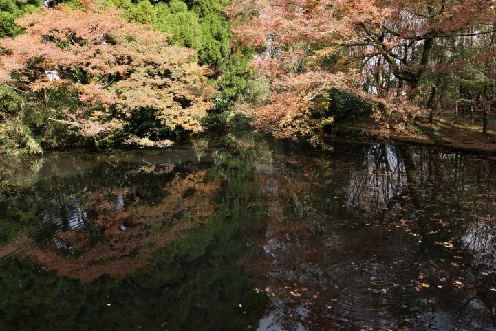 c0248473_2115846.jpg