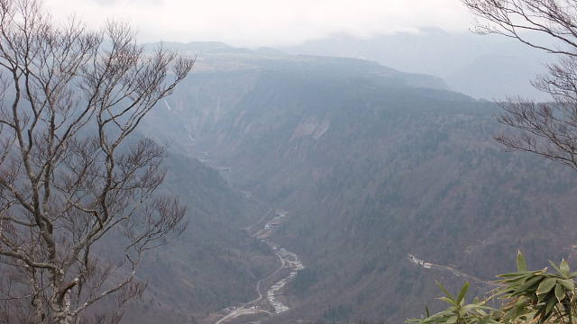 c0022275_11481030.jpg