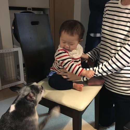 d0041575_22525749.jpeg