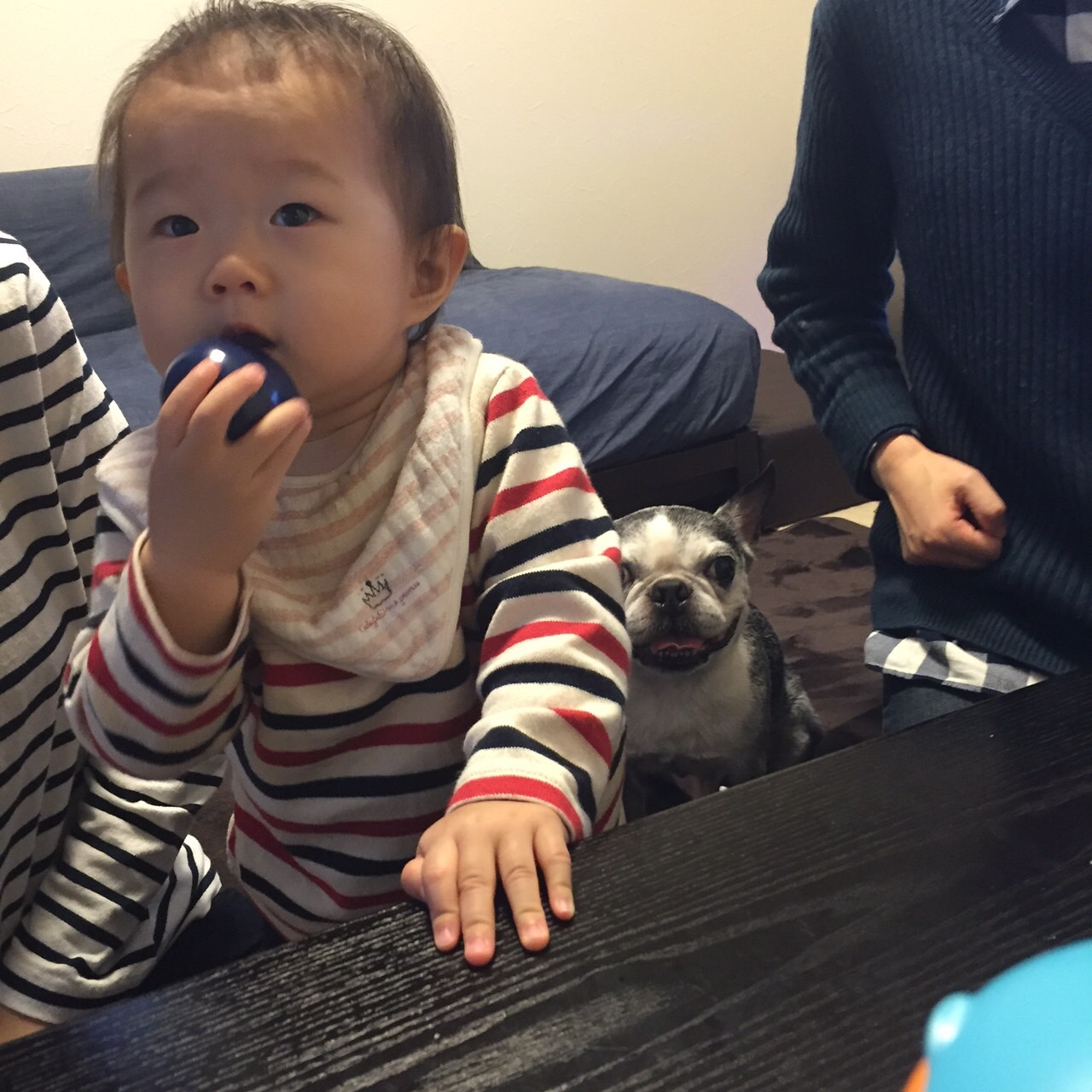d0041575_22574000.jpeg