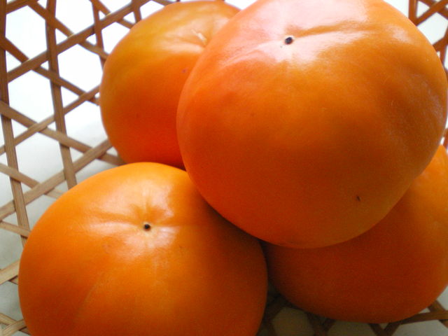 c0235176_1429559.jpg