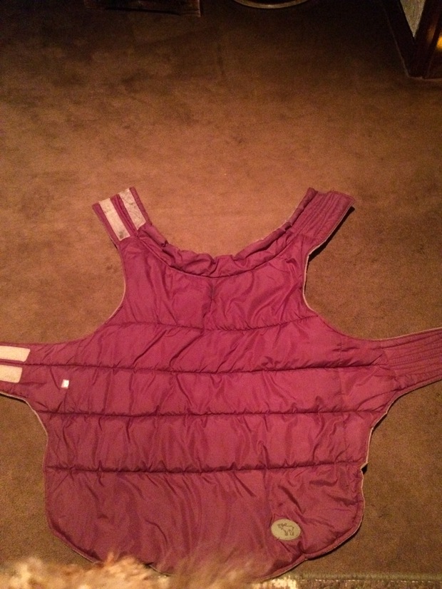 c0283778_1425036.jpg