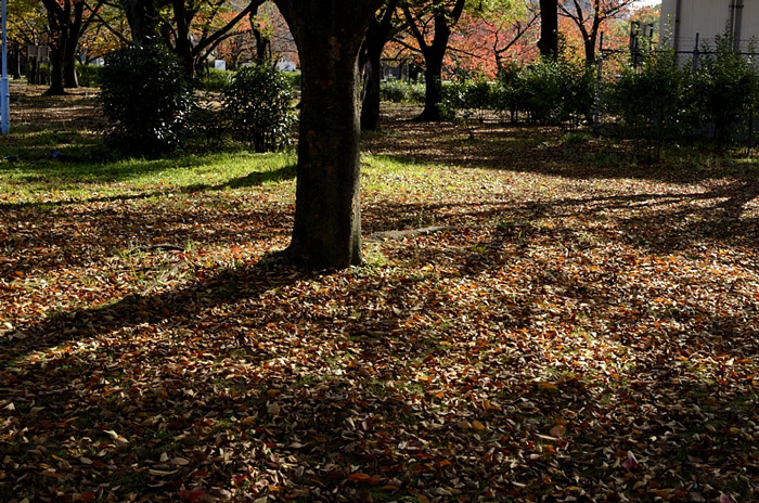 f0108478_20143791.jpg