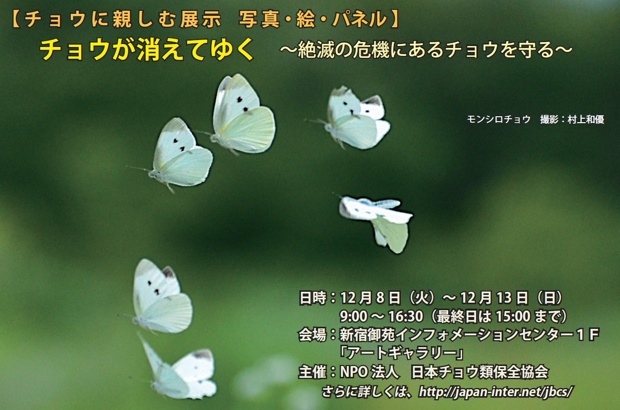 f0090680_2114813.jpg