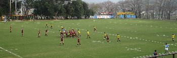 f0003283_20202769.jpg