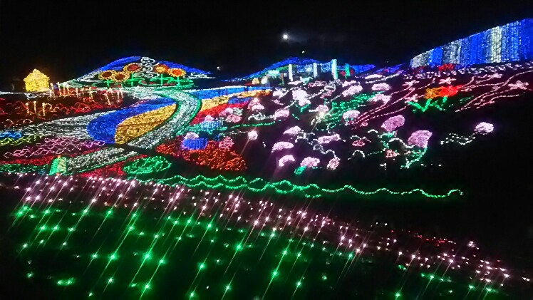 d0347193_801913.jpg