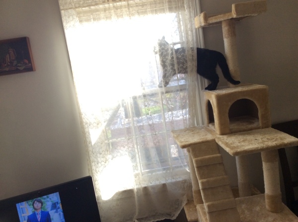 d0130296_05554195.jpeg