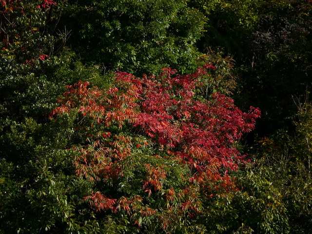 b0165802_7172196.jpg