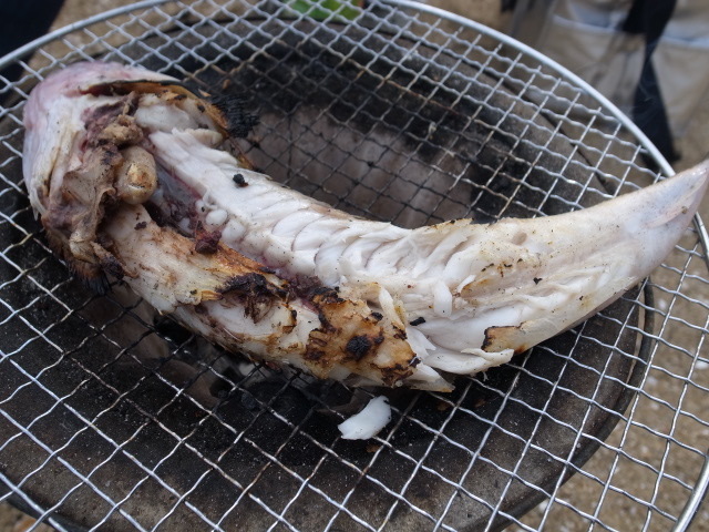 f0197703_16515629.jpg