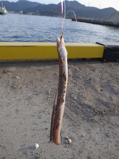 f0197703_17001740.jpg