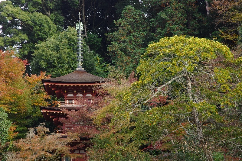 d0342307_22525369.jpg