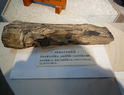 b0273309_18255025.png