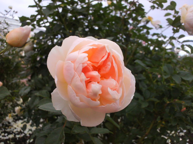 e0099212_22291699.jpg